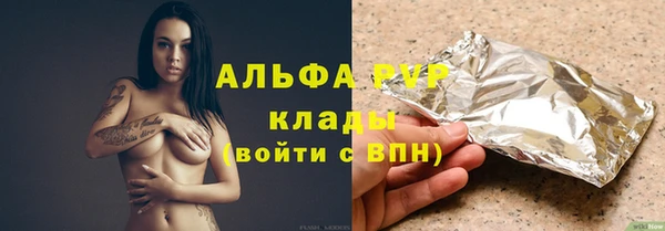 PSILOCYBIN Белокуриха