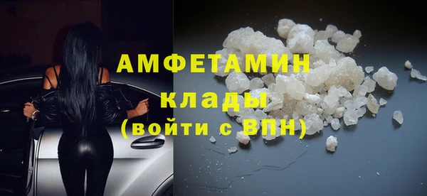PSILOCYBIN Белокуриха