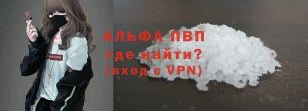 PSILOCYBIN Белокуриха