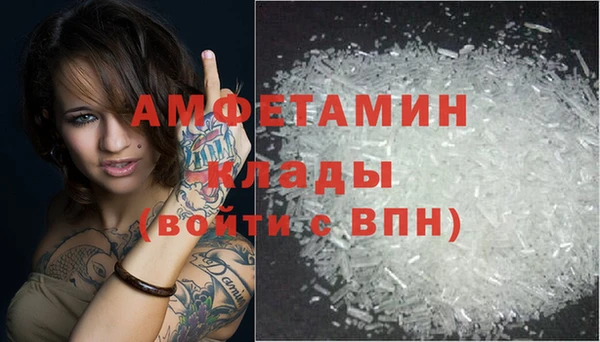 PSILOCYBIN Белокуриха