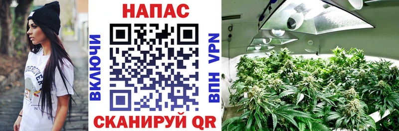 Марихуана конопля Кораблино